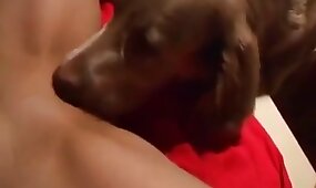 cunnilingus, dog porn