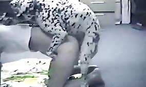pussy fuck, animal fucks girl