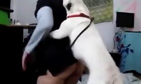 animal fucks girl, zoo fuck porn