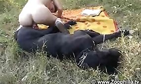 dog porn, animal fuck porn