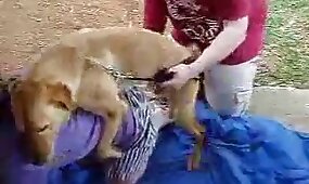 pussy fuck, animal fucks girl
