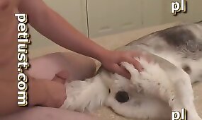 dog porn, fucking with animal