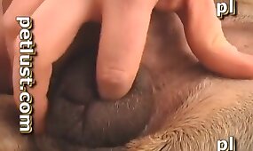 oral zoo sex, dog porn