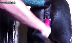 beastiality videos, free zoo porn