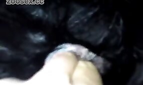 fingering, animal porn videos