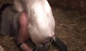 zoophilia video, bestiality sex videos