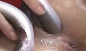 fucking with animal, fish