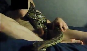 zoo porn videos, beastiality videos