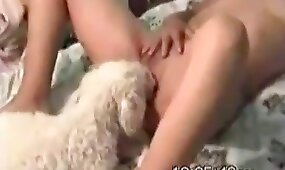 cocks and dicks, beastiality videos