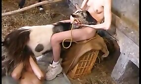 beastiality videos, animal fucks girl