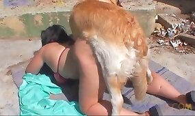 dog porn, fucking with animal