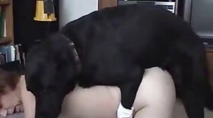 dog-porn,