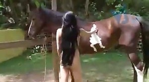horse-porn,dick