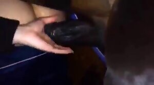 girl,animal-sex