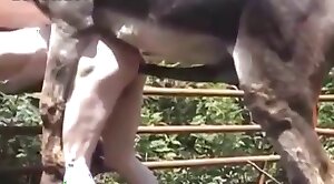 real-life,zoophilia