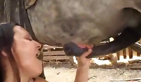 dicks and cocks, horse bestiality
