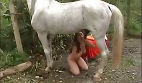 馬の獣姦,動物とのセックス