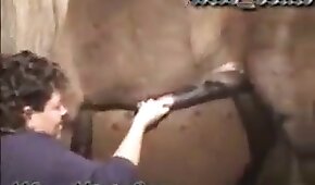 mature,horse bestiality