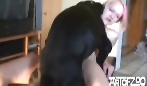 dog sex, sex with animals