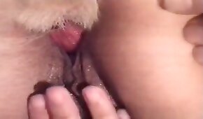 mujer y animal,zoológico joder porno