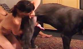 dog sex,animal fucks girl