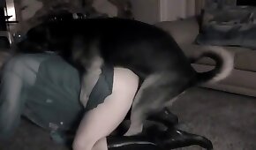 dog sex, sex with animals