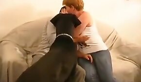 hayvanlarla porno,köpek seks