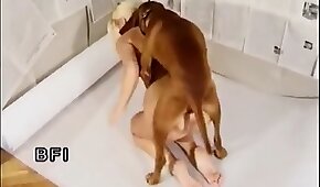 dog sex,animal fucks girl