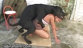 animal fucks girl,fucking with animals