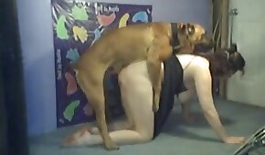 dog sex,sex with animals