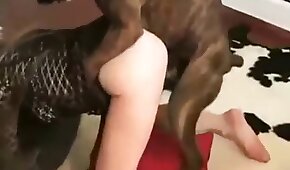 dog sex,fucking with animals