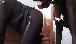 dog sex,animal fuck sex