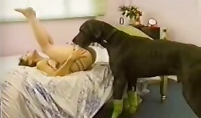 dog sex,animal fucks girl