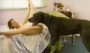 hundsex,djur knullar tjej