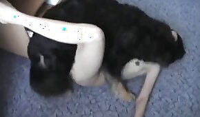 porn with animals,zoo fuck porn