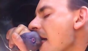 dicks and cocks,blowjob