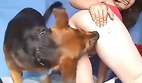 beastiality porn,woman and animal
