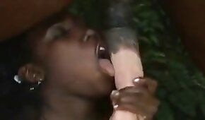 animal folla chica,sexo con animales