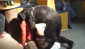 ممارسة الجنس مع الحيوانات,فيديوهات إباحية عن الحيوانات