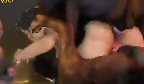 perro sexo,sexo con animales