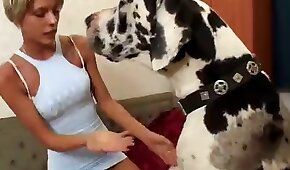 animal porn videos