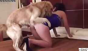 woman and animal