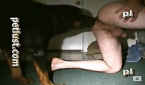 sexe de chien,zoo baise porno