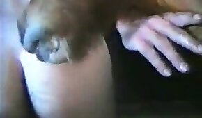 bestiality videos,beastiality porn