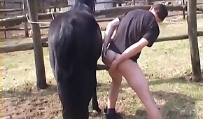 horse bestiality, fucking with animals