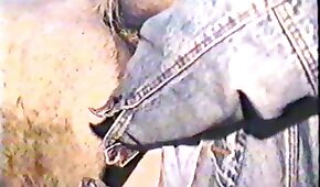 mirar boquiabierto,bestialidad porno