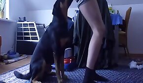 female,dog sex