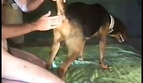 animal porn videos, fucking with animals