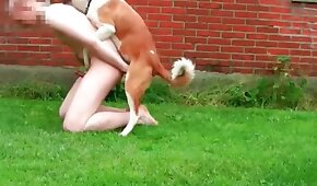 dog sex,zoo fuck porn