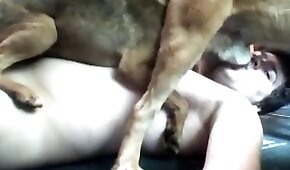 baiser avec des animaux,vidéos porno d'animaux